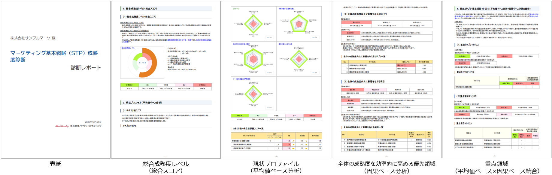 診断結果レポート概要